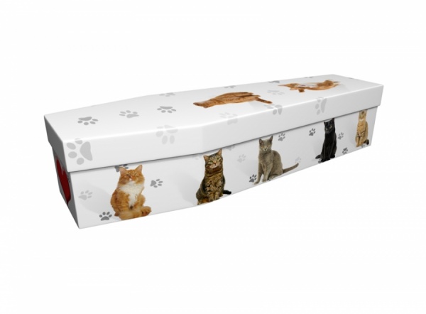Cardboard Coffin with Cats & Paws picture