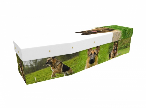 Cardboard Coffin with German shepherd picture