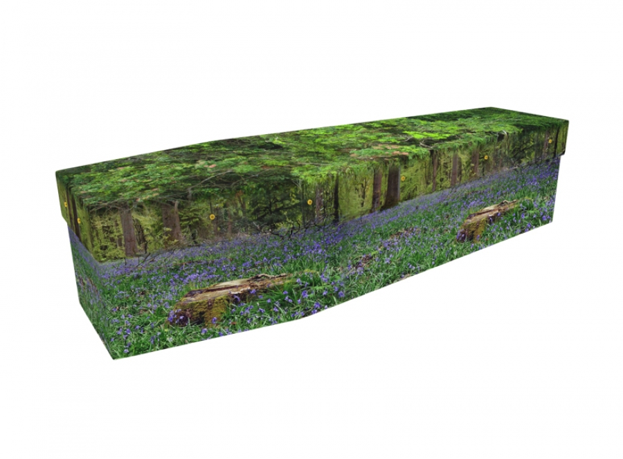 Cardboard Coffin with Bluebell Forest Picture